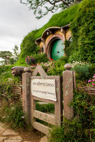 Gli Hobbit: la casa e la genetica nomadica